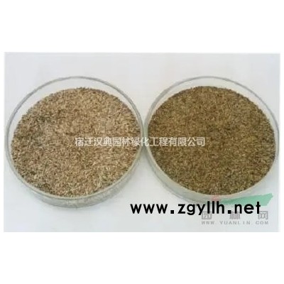 江苏[产品]/江苏栾树 栾树基地价格/报价