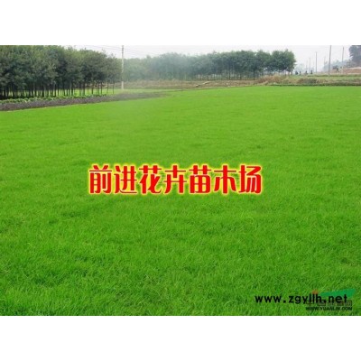 栾树 国槐 法桐 朴树 榉树