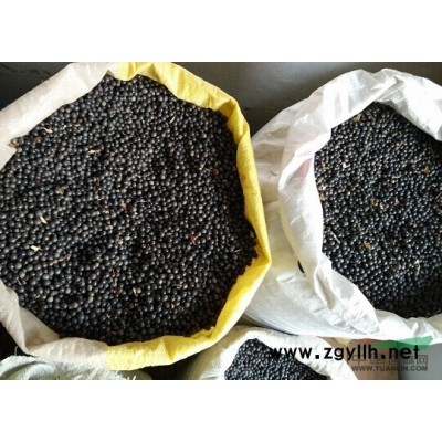 苗木基地现货大量低价供应国槐种子白蜡种子北栾种子以及种苗