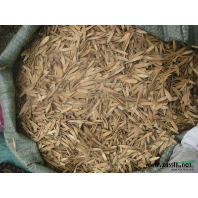 供应白蜡种子，国槐种子，白蜡树种子