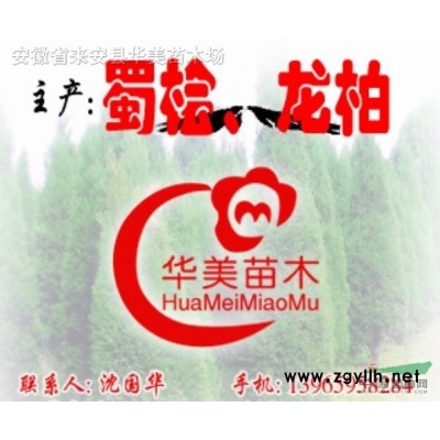 红枫、青桐、雪松