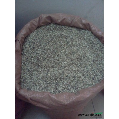 供应 国槐种子1000斤