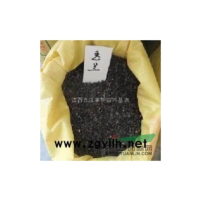 栾树 移栽栾树 *新栾树价格