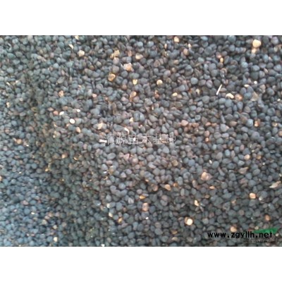 大量供应北京栾树