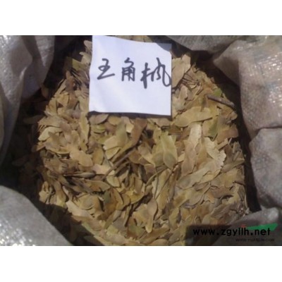 黄山栾树种子图片\黄山栾树种子报价