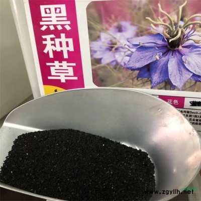 9瓣香花紫玉兰白玉兰广玉兰红玉兰黄玉兰山玉兰都是耐寒耐旱的大乔木