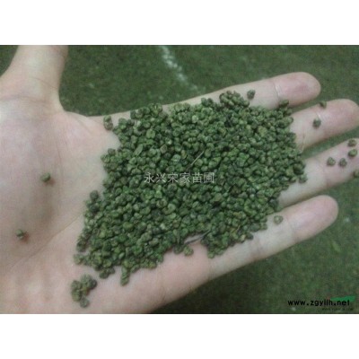 供应香樟、广玉兰、乌桕、朴树、榉树、朴树、栾树