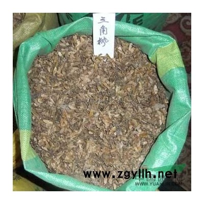 2到3公分香樟供应/2到3公分香樟图片