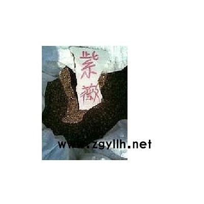 紫薇，紫荆，银杏等苗木种子