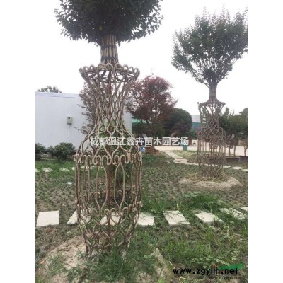 四川成都本地*品银杏