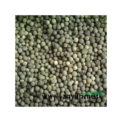 2013新鲜香樟种子 保证发芽率 预购从速