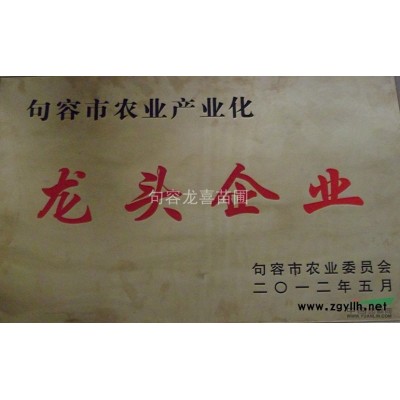 低价甩卖1年生红榉朴树桂花鸡爪戚乌桕、栾树、冬青