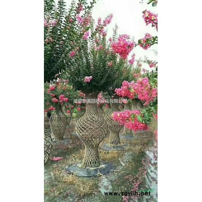 1.8米红花朱砂桂花瓶 2米开红花桂花花瓶