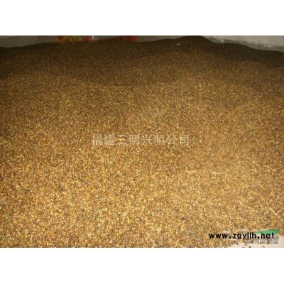 供应红豆杉、罗汉松、香樟等等苗木