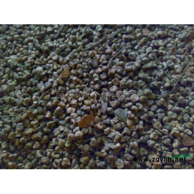 枫香、黄山栾树、无患子、重阳木、杜英等苗木