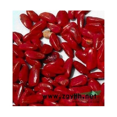 江西大叶女贞种子信息