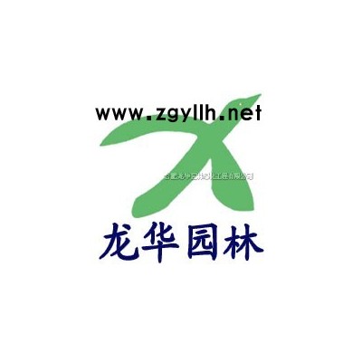 3cm-10cm重阳木、无患子、垂柳、大叶女贞、蜀桧球等