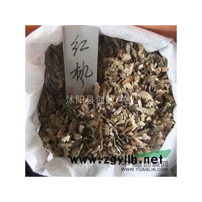 * 红枫种子