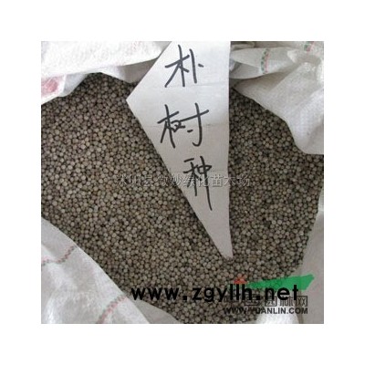 江苏红叶石楠信息