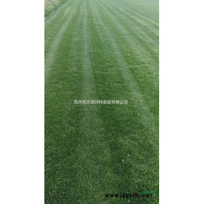 金边黄杨、金森女贞、红花继木、红叶石楠