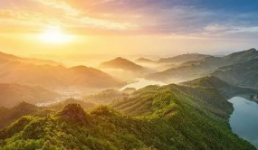 安徽霍山：森林资源丰富 林下经济蓬勃发展
