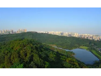 重庆市林业局会同重庆市生态环境局召开自然保护地问题整改现场核查情况汇报会