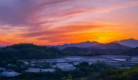 河南三门峡基本实现全域绿化