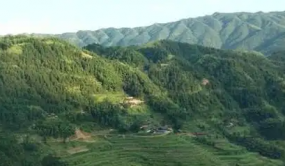 湖南新晃启动造林绿化空间适宜性评估