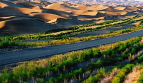 新疆以“五个坚持”推进沙区绿色可持续发展