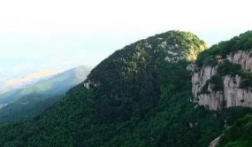 首届山东省森林文化周启动仪式在日照举行