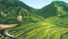 宁夏全面启动林草湿荒样地调查